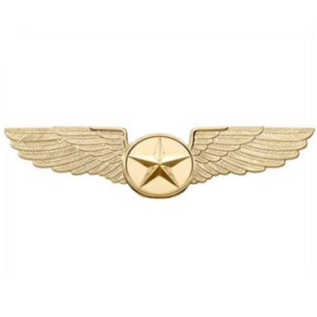 GREAT WINGS PIN LARGE GOLD STAR EMBLEM 9640 AV-WNG-9640-G