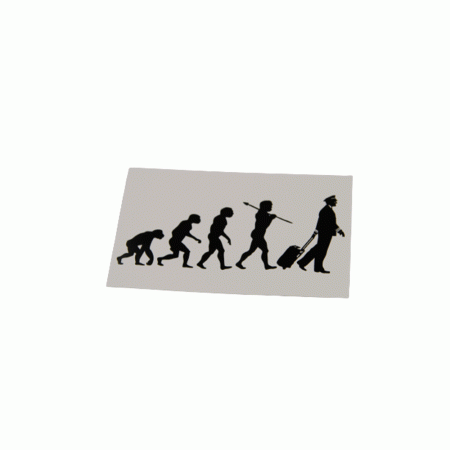 STICKER/ADESIVO EVOLUTION PILOT