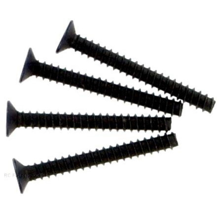 HT TPE3*25FH SCREWS 4PC 02090