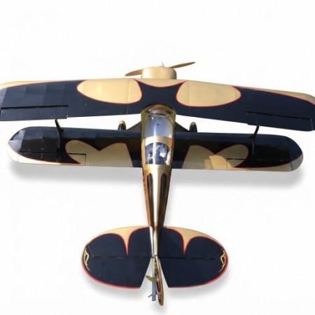 AVIAO SEAGULL STEEN SKYBOLT BI-PLANE N250SB 61