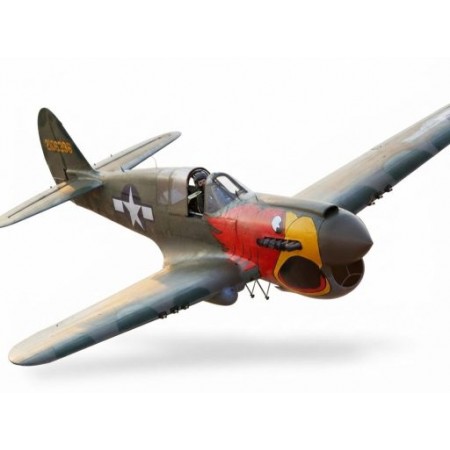 AVIAO SEAGULL P-40 WARHAWK PARROTHEAD 50-60 80