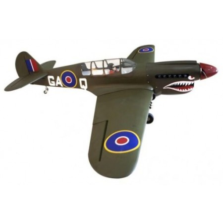 AVIAO SEAGULL P-40 WARHAWK SHARK HEAD 50-60 80